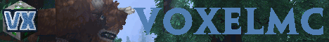VoxelMC.de
